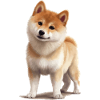 Shiba Inu Dog Gift