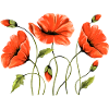 Blumen