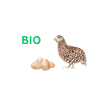 WACHTEL