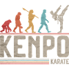 Kenpo Karate Evolution Kampfkünste Evolution