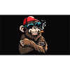 Design MonkeyCool1