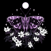 Moth moth with wood anemone