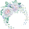 Roses blanches