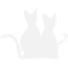 Cat friendship