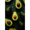 Avocats