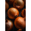 Oignons