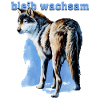 Wolfsblick 3