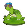 Turtle Sunglasses