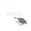 WACHTEL