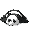 Panda misanthrope