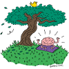 Meditation - Brain