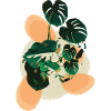 Monstera Flavour