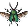 Big Green Beetle - kæmpe grøn bille