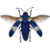 Großer blauer