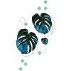 Monstera Blatt