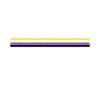 Non Binary Pride Genderqueer
