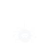 Web Developer / Spinne