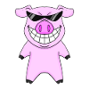 cool pig with sunglasses