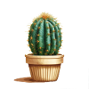 Cactus in pot