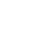 Original 100% Fiona