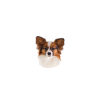 Beware of the mistress, harmless Papillon