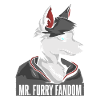 Furry Fandom Fursuits