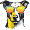 Roxo the bespectacled dog