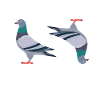 PigeON PigeOFF piccioni piccioni divertenti
