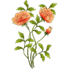 Fleur