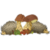 Igel