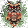 Owl bird