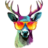 Jack the bespectacled deer