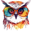 Chouchou the spectacled owl