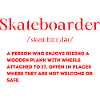 Skateboarder Definition