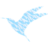 Birds in the clouds