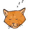 sleepy orange cat