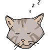 Graue schläfrige Katze