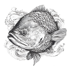 Koi Detail Drawing Engraving Style