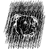 Hund Dog