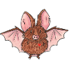 Chauve-Souris