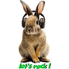 Rabbit with headphones