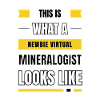 Newbie virtual mineralogist