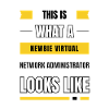 Administrateur de réseau virtuel débutant