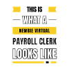 Newbie virtual payroll clerk