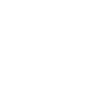Bird of prey in white