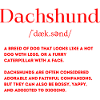 Dachshund Definition