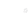 All bubbly no troubly saying funny quote fun