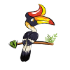 Hornbill