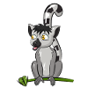 Lemur