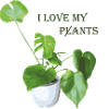 I love my plants